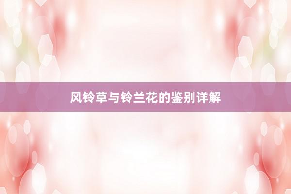 风铃草与铃兰花的鉴别详解